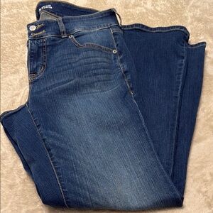 Torrid Low Rise Flare Vintage Stretch